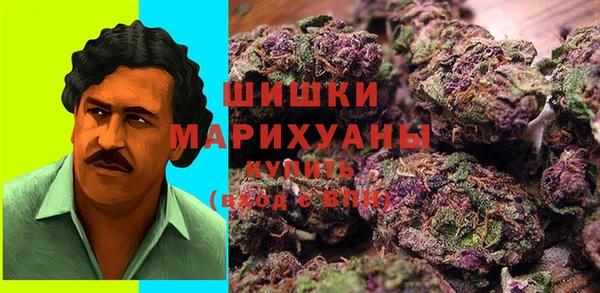 мет Дмитров