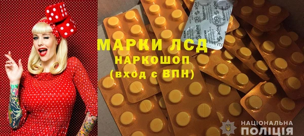 spice Гусев