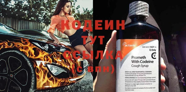 spice Гусев