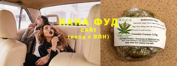 дурь Няндома