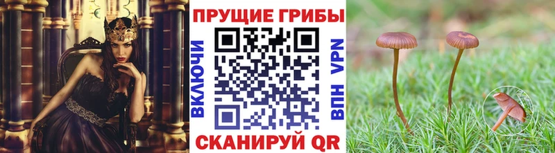 Галлюциногенные грибы ЛСД хочу наркоту Няндома